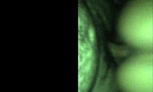 Brunette Wife Flashes Lingerie in Close-Up Submissive Exhibitionist Tease