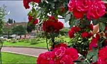 bangla group fuck with cute asian wife emotional romantic cum inside pussy