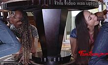 Black Family Orgy Pounds Adriana Maya And Misty Stone Hard