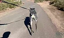 Tempting Outdoor Thrills with Bent Over Rides and Deep Sucks