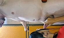 mi veci me da una mamada tan deli que no aguanto!