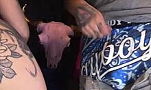 ever wonder what filthy puppy s4 gets up to with all those wild international vibes?