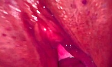 a virgin wife takes huge cock first time on christmas close-up wet shaved pussy