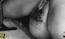 Chayenhy and pele vip trailer married offers ass to builder