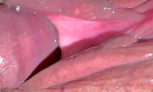 a virgin wife takes huge cock first time on christmas close-up wet shaved pussy