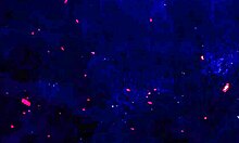 Allison sweet craves three huge black cocks stuffing her ass anal dap deep balls-deep pissing action!