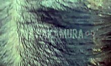 Vigilante Pounds Hot Japanese Pussy In Public Parking Lot