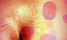 brazilian sissy shemale teases her tight curves in heels pmv