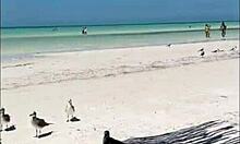 oh man this nympho beach babe's creamy pussy covered in sand... i cant stop teasing it in paradise!!