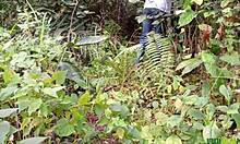 slept with that fat hairy bbw i met in the bush bent over doggystyle monster cock