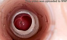 Wanna see huge sperm ejaculate deep inside pussy?