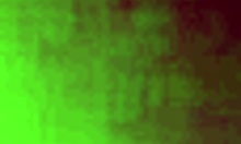 Fucking married neighbor raw anal in motel