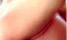 Hey porn stars, ready for pop starz wild group fun explosion?