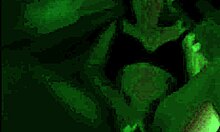 Hot Redhead Glasses Girl Gags On BBC Throat Worship, Bent Over Pt2?