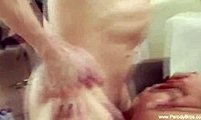 Hey porn stars, ready for pop starz wild group fun explosion?