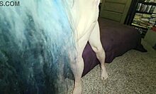 bbw grabs bwc and fucks it hard