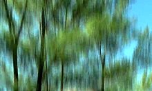 Bombadão roughly pounds screaming Brazilian hiker on trail.