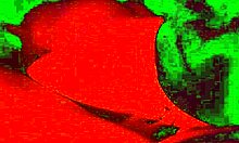 Suck it bitch, can PAWG slut swallow it all in POV blowjob quickie?