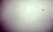 argentine stepsister's big ass bounces on brother's fat long cock