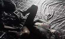 i took that sexy 19yr old stripper to cloud nine on her first club visit drillin her with bbc bareback