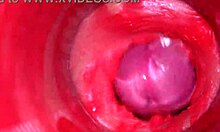 Camera Deep Inside Pussy Captures Powerful Creampie Cumshot in 4K ASMR