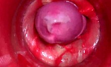 Camera Deep Inside Pussy Captures Powerful Creampie Cumshot in 4K ASMR