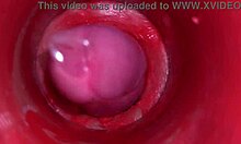 Camera Deep Inside Pussy Captures Powerful Creampie Cumshot in 4K ASMR