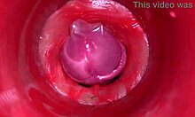 Camera Deep Inside Pussy Captures Powerful Creampie Cumshot in 4K ASMR