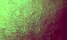 fat bbw teen's huge arse slapped by monster cock