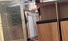 Did hotwife Belinha seduce delivery guy and Uber moto for two mouth cumshots?