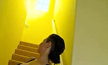 Christy Mack's Nasty POV Blowjob and Doggystyle Fuck