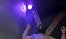 maitresse kantalis locked in club cage carcan for bdsm humiliation play