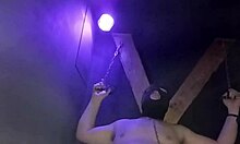 maitresse kantalis locked in club cage carcan for bdsm humiliation play