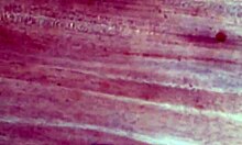 oh man i just came so hard all over this desk!!