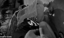 discover wild fun with huge star action waiting on cassiflix