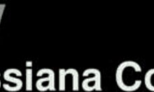 discover wild fun with huge star action waiting on cassiflix