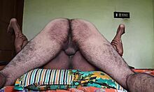 Indian lady moans as she licks man's asshole during passionate homemade fuck