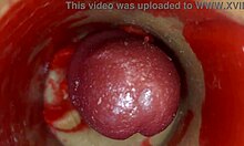 Monster cock deepthroats slave for sloppy creampie close-up