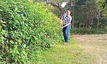 Brazilian Gardener Jerks Monster Thick Cock