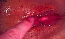amateur japanese wife licks shaved pink pussy 356 days post virginity loss
