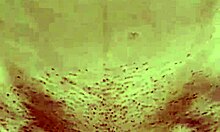 oh god when she rides my cock so good and squeezes it tight with her shaved pussy
