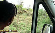 Cute Ebony Girlfriend Deep African Safari Road Head POV