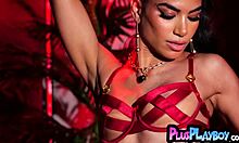all natural latina teen strips sexy lingerie rips clothes poses hot bubble butt body