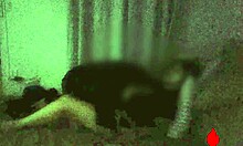 Heartbroken wife cheats wildly with best friend in doggystyle frenzy
