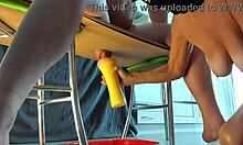 cfnm femdom milf milks huge stallion cock with flashlight closeup