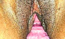 sexy latina milf close-up pussy creampie dripping wet tight cum covered
