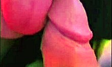 Sloppy Big Tits Wife Sucks Hubby's Small Cock Close!
