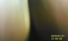 Fuck that chocolate ebony ass on webcam 😈 SparksXXX