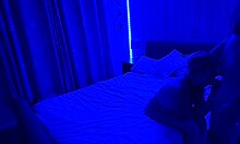 submissive milf kneels for closeup blowjob swallows every drop of cum