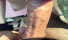 sexy teen gets creampie after outdoor picnic in forest